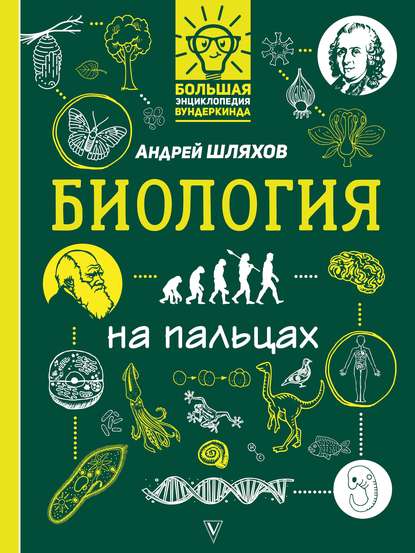 49505072-andrey-shlyahov-biologiya-na-palcah-v-illustraciyah-49505072.jpg