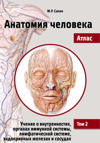 55287801-mihail-sapin-anatomiya-cheloveka-atlas-tom-2-uchenie-o-vnutrennos-55287801.jpg