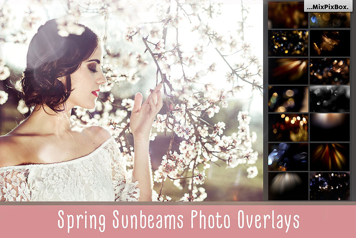 spring-sunbeams-1.jpg